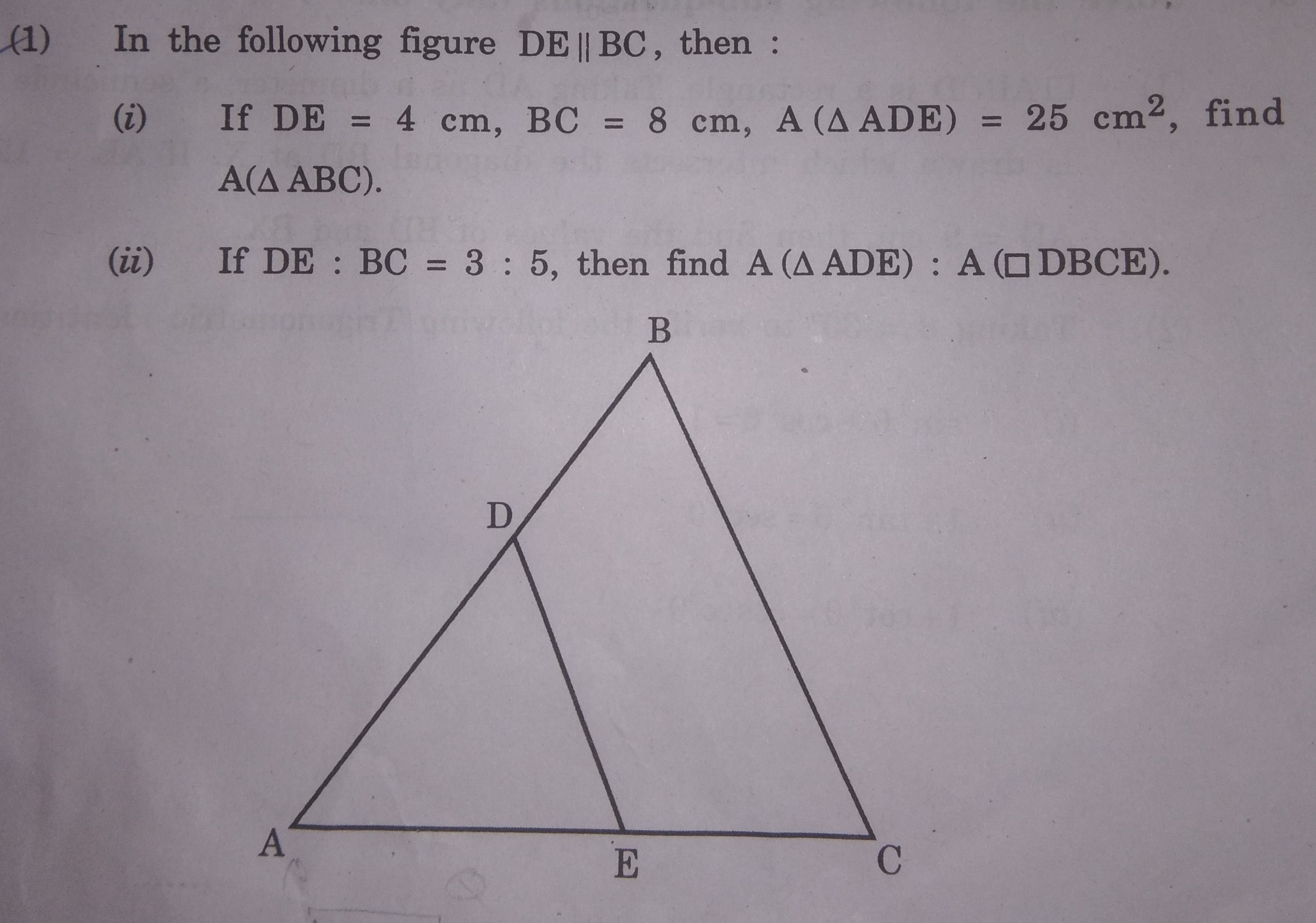 Visual representation for Mathematics
