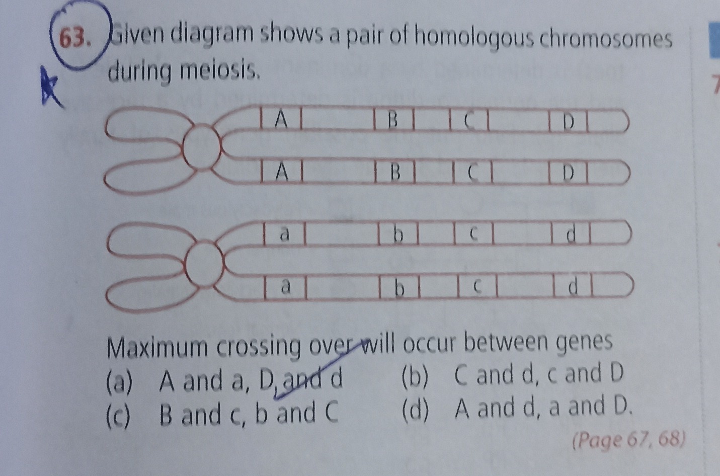 Visual representation for Biology