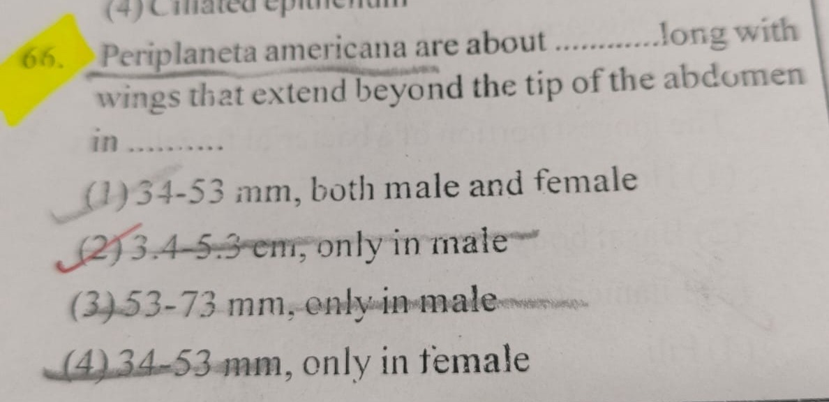Visual representation for Biology