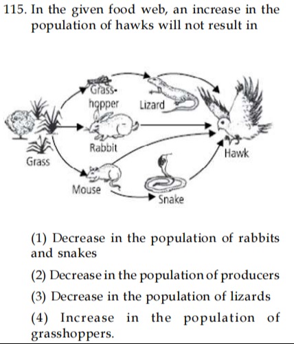 Visual representation for Biology