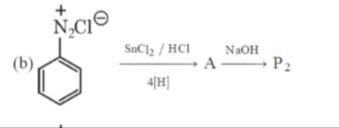 Visual representation for NCERT Chemistry